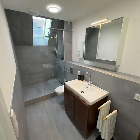 Moderne Maisonette-wohnung カールスルーエ